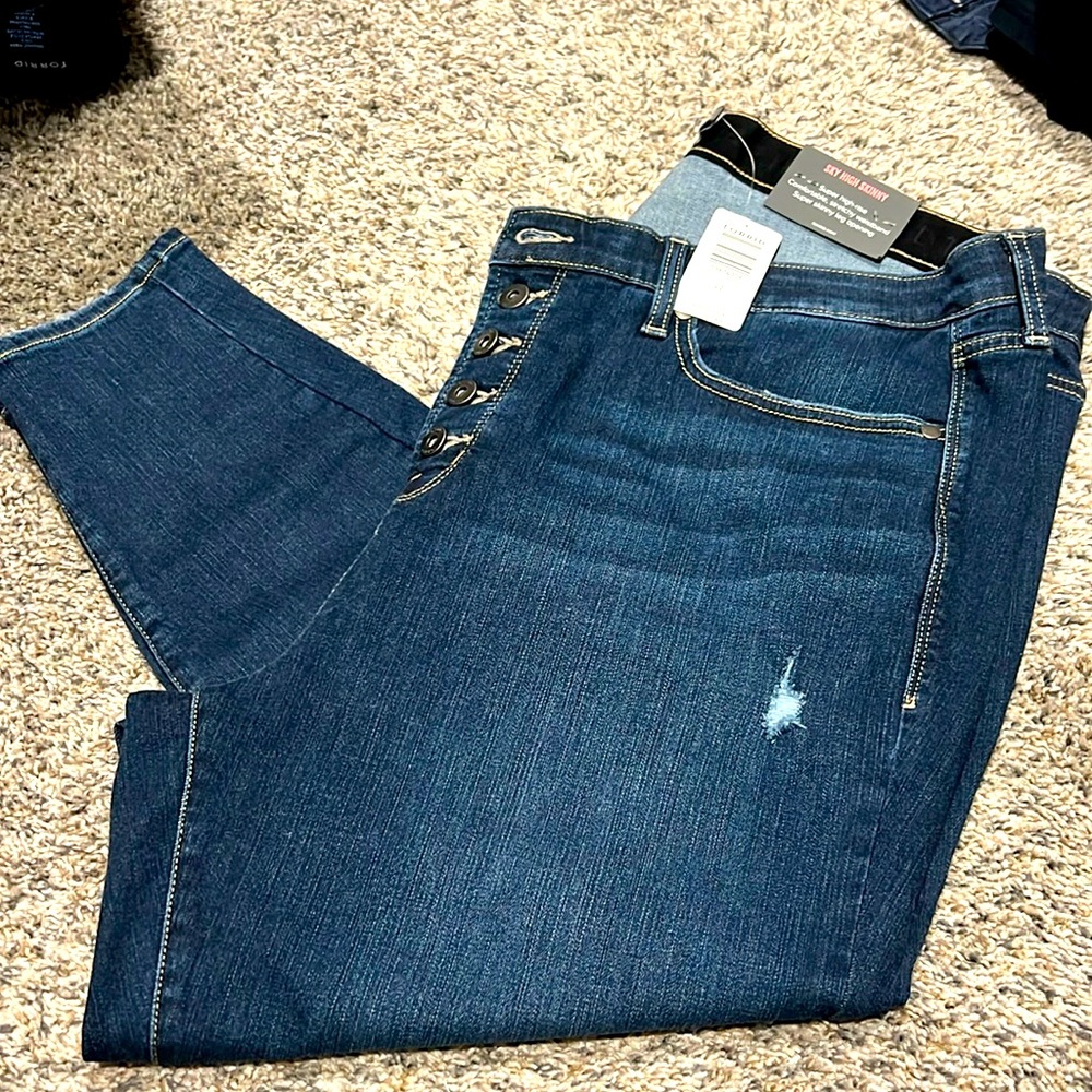 Torrid Jeans